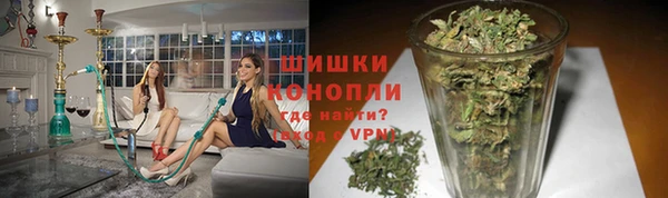 трава Белокуриха