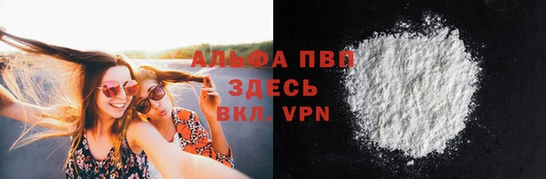 трава Белокуриха