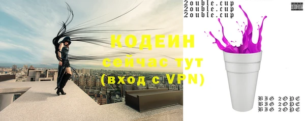 прущие грибы Беломорск