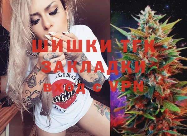 прущие грибы Беломорск