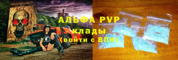 прущие грибы Беломорск