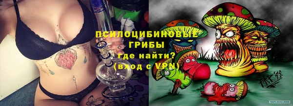 прущие крисы Белоозёрский