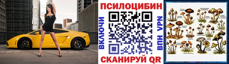 сколько стоит ссылка на мегу сайт Псилоцибиновые грибы мухоморы Мглин